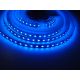 LED pásek 24HQ12096 - 24V, 9,6W/m, 120led/m, MODRÁ