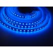 LED pásek 24HQ12096 - 24V, 9,6W/m, 120led/m, modrý