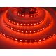 LED pásek 24HQ12096 vnitřní záruka 3 roky - Červená