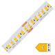 LED pásek 2835 240 WIRELI WW 3000lm 20W 0,83A 24V (bílá teplá)